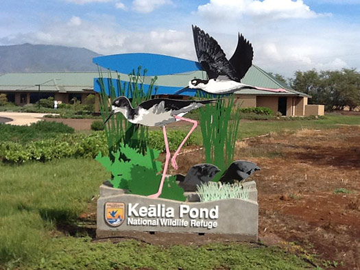 Volunteer Opportunities – USFWS Keālia Pond National Wildlife Refuge
