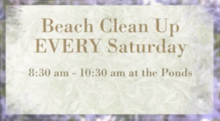 Saturday Morning Beach Cleanup