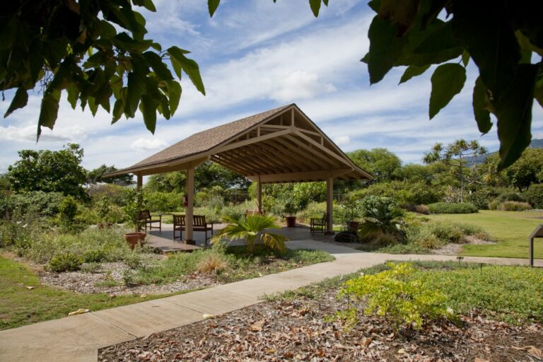 Maui Nui Botanical Garden